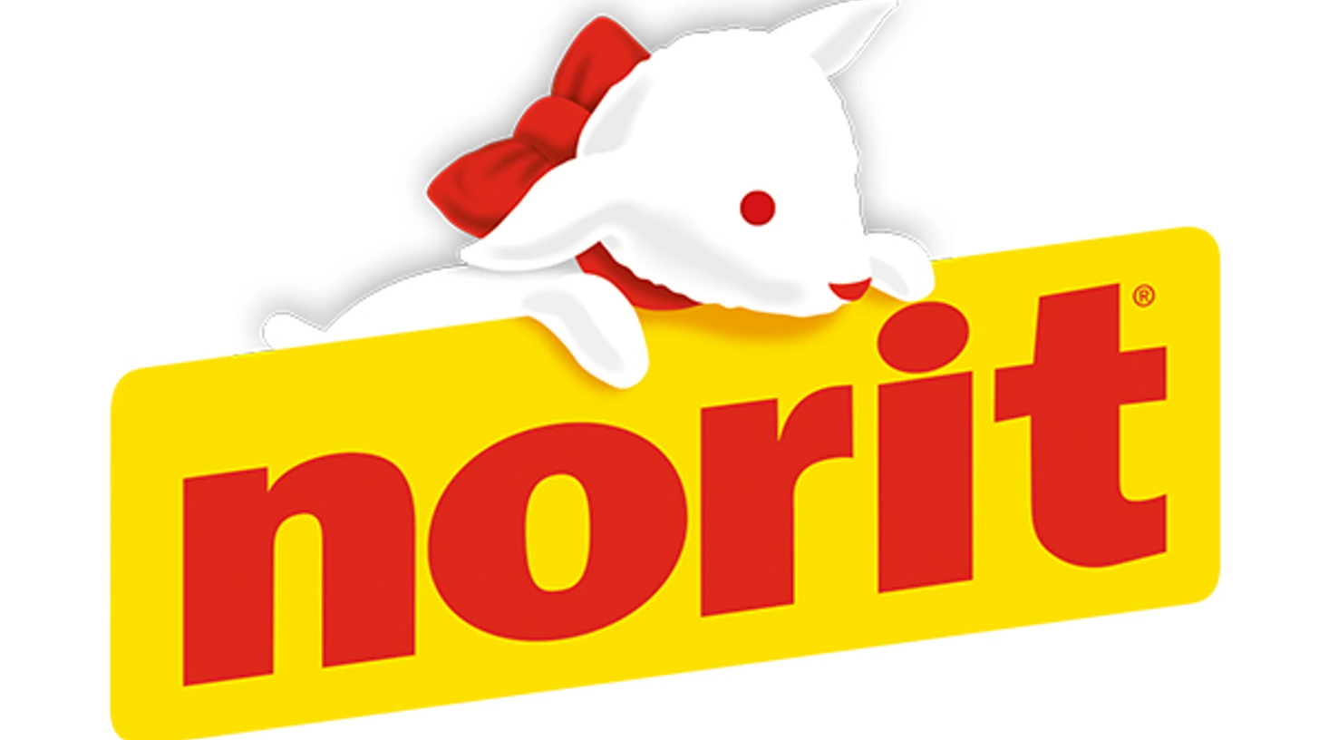 NORIT